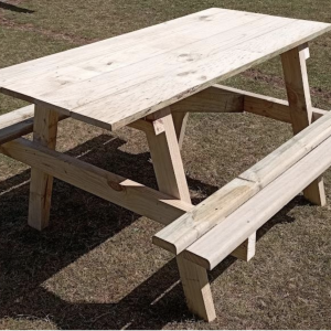 Mesa Picnic